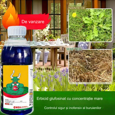 🌿【Cumpără 1 și primește 2 gratis】 Erbicid glufosinat de ammoniu foarte concentrate