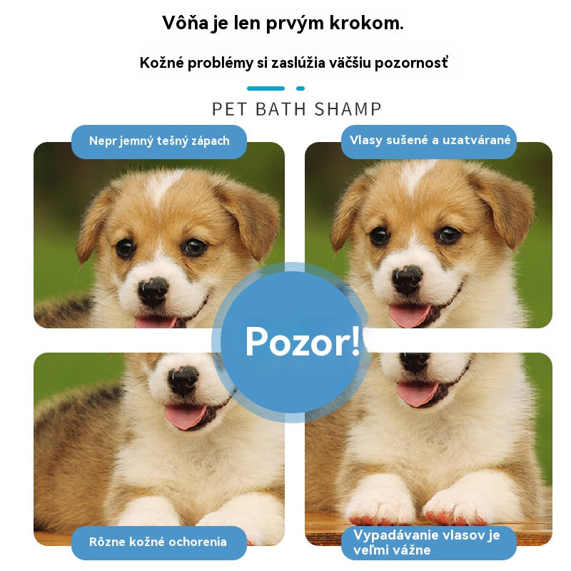 🐱【400 ml + uterák + oceľový hrebeň】🐈 Bezoplachová jemná dezodoračná pena na rastlinnej báze pre domácich miláčikov – Pre sviežosť a čistotu, vhodné pre mačky a psov