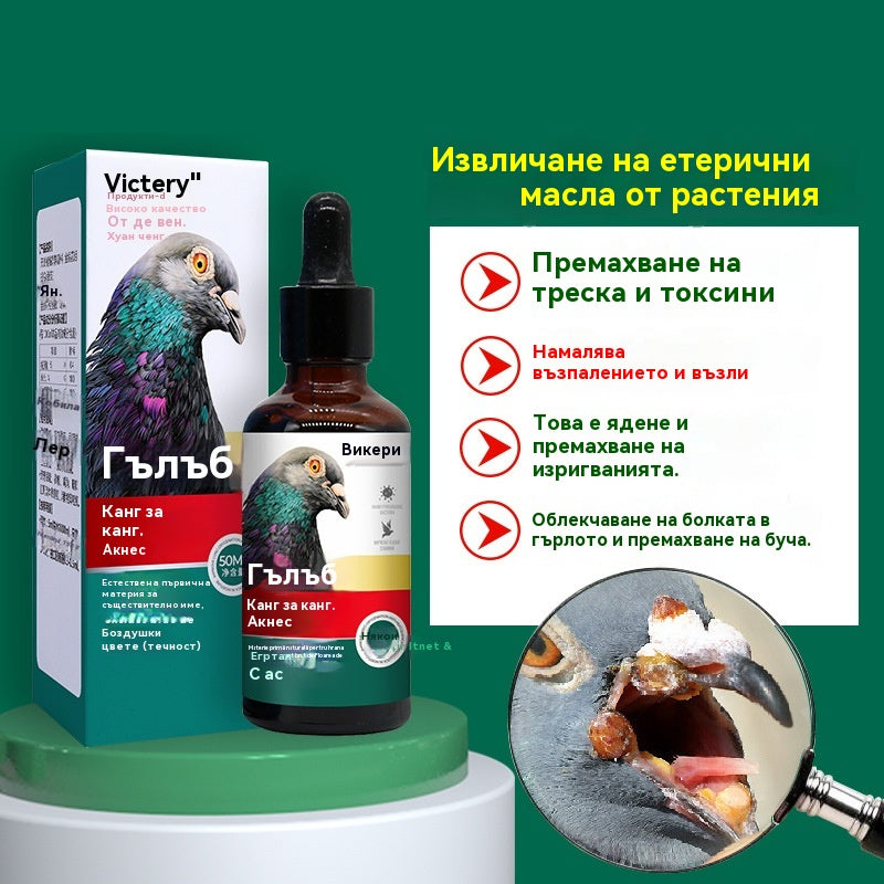 🕊️Специално лекарство за състезателни гълъби, заразени с пустули от вируса на едрата шарка 50 мл/бутилка, премахва патогени и елиминира токсините, елиминира акне и разтваря възли, охлажда кръвта и премахва обриви, облекчава болки в гърлото и отделя гной.