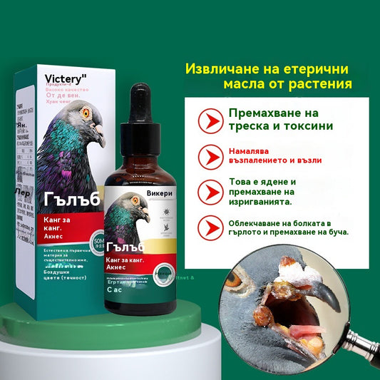 🕊️Специално лекарство за състезателни гълъби, заразени с пустули от вируса на едрата шарка 50 мл/бутилка, премахва патогени и елиминира токсините, елиминира акне и разтваря възли, охлажда кръвта и премахва обриви, облекчава болки в гърлото и отделя гной.