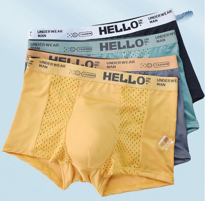 🩲🤩【6 kusov 1 sada】 Vysoko kvalitné pánske boxerky z ľadového hodvábu a priedušné sieťoviny