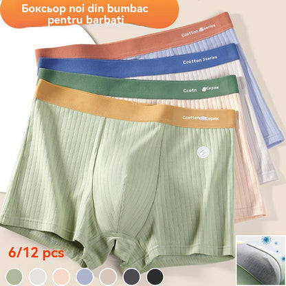 ⏳🩲[Оферта за ограничено време]🔥(6 броя) Мъжки боксерки от 100% памук – Удобни и дишащи, с еластичен колан и меко усещане за комфорт през целия ден. Идеални за ежедневно носене.