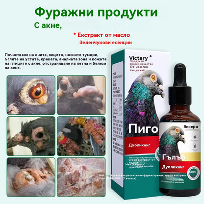 🕊️Специално лекарство за състезателни гълъби, заразени с пустули от вируса на едрата шарка 50 мл/бутилка, премахва патогени и елиминира токсините, елиминира акне и разтваря възли, охлажда кръвта и премахва обриви, облекчава болки в гърлото и отделя гной.