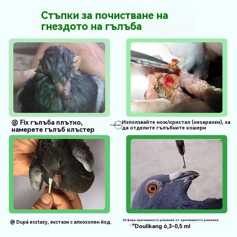 🕊️Специално лекарство за състезателни гълъби, заразени с пустули от вируса на едрата шарка 50 мл/бутилка, премахва патогени и елиминира токсините, елиминира акне и разтваря възли, охлажда кръвта и премахва обриви, облекчава болки в гърлото и отделя гной.