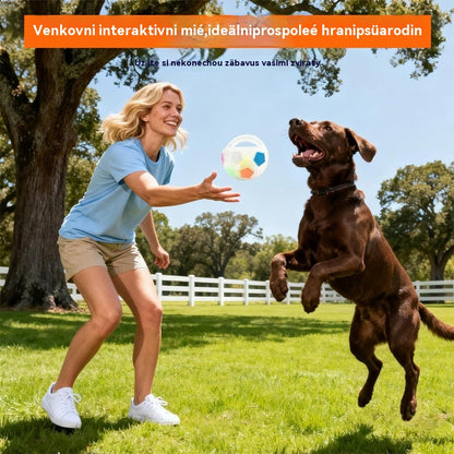 ⚽🐕🔥Играчка за кучета: футболна топка, интерактивни и устойчиви на ухапване принадлежности за бордър коли, лабрадори и коргита.