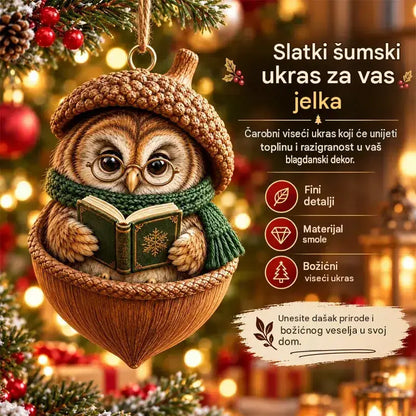 🎉【Kupi 6, dobij 6 gratis】 🎁Novi 2D akrilni božićni dizajn sa životinjama u obliku češera